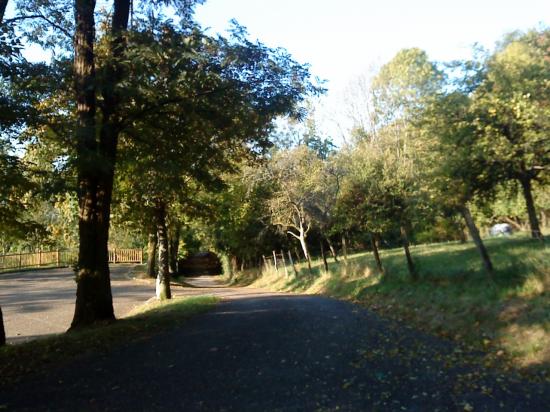 Chemin