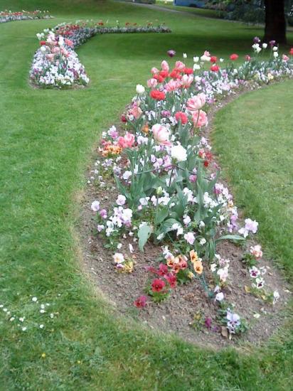 Fleurs et gazon
