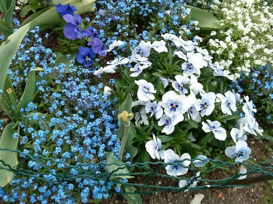 Belle gamme de bleu !