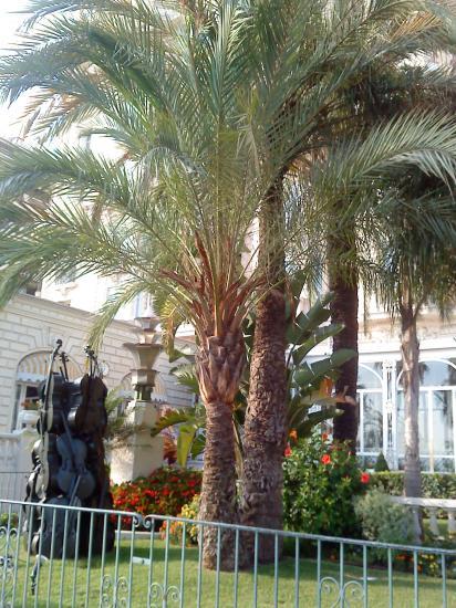 Cannes