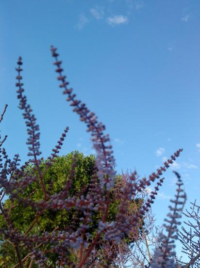 Vers le ciel