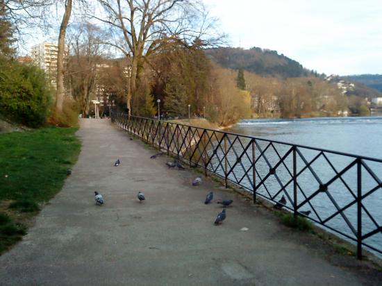 La promenade quotidienne