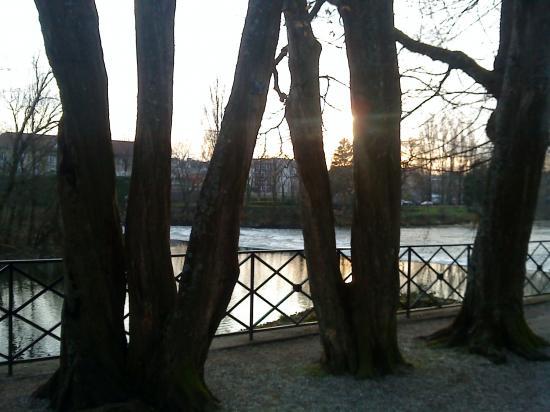 Entre les arbres
