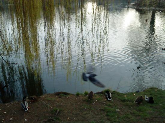 Toujours dans l'eau