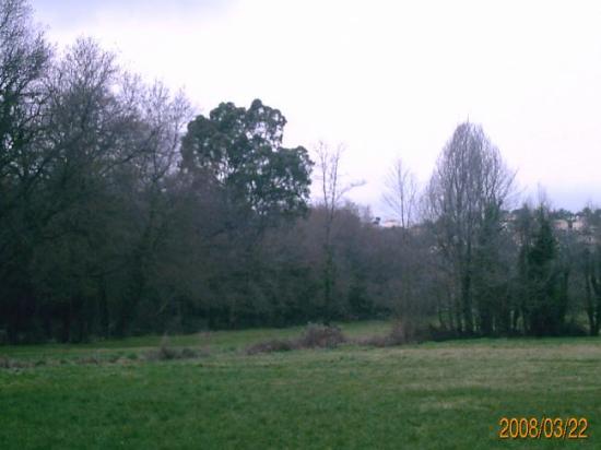 Champ d'hiver