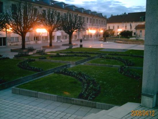 Carrés fleuris